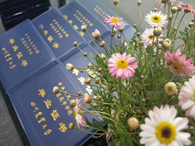 教务团队